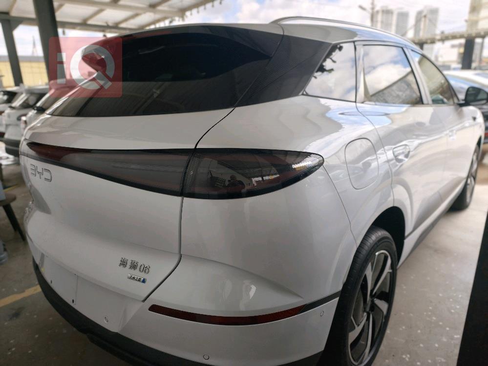 بي واي دي سيليون 06 DM-i